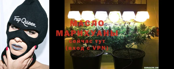 индика Инсар