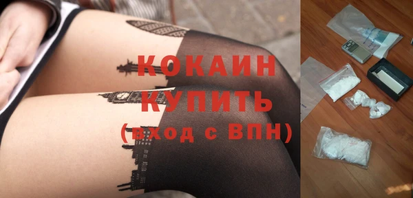 PSILOCYBIN Каменногорск