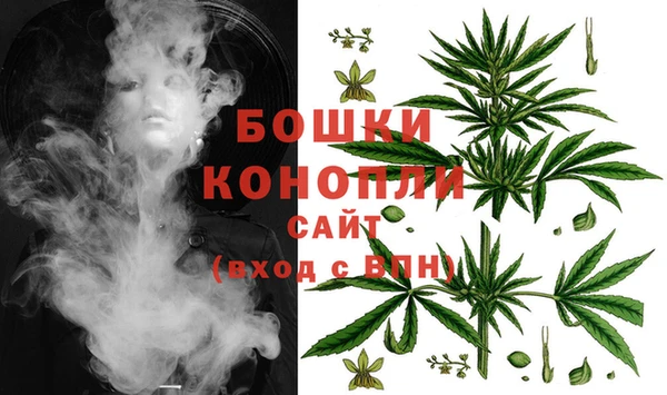 PSILOCYBIN Каменногорск