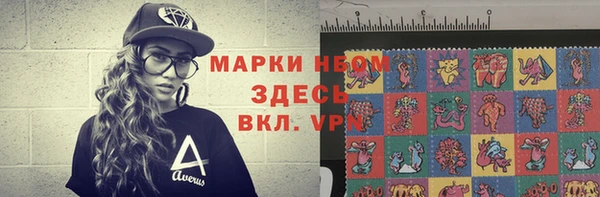 индика Инсар