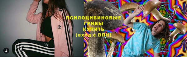 твердый Каменка