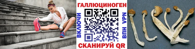 Галлюциногенные грибы мицелий  Нижневартовск 