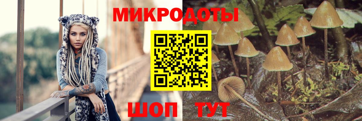 Галлюциногенные грибы Cubensis Нижневартовск